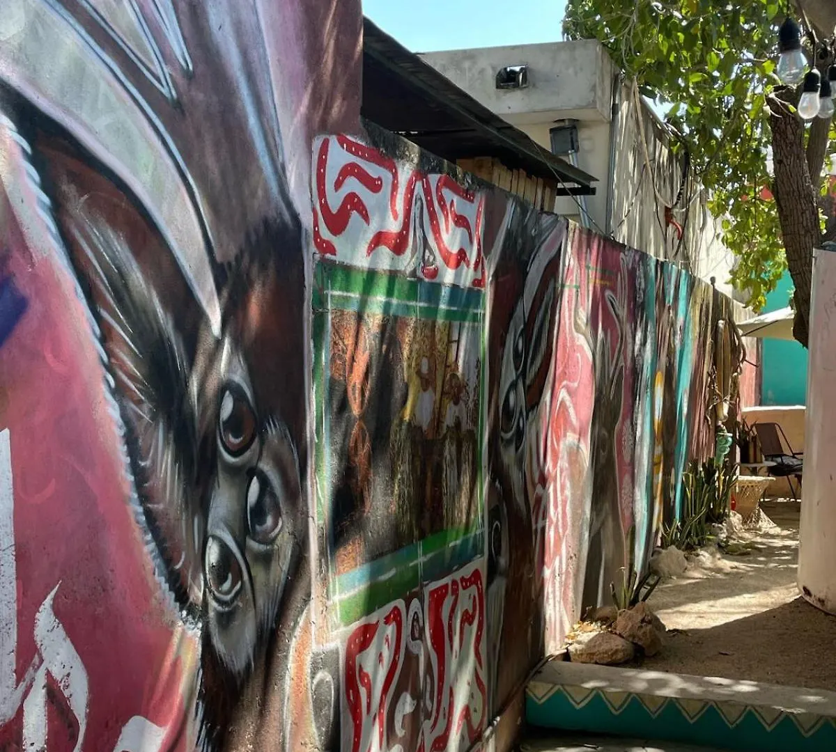La Casa Del Keej Hostel Mérida Mexiko